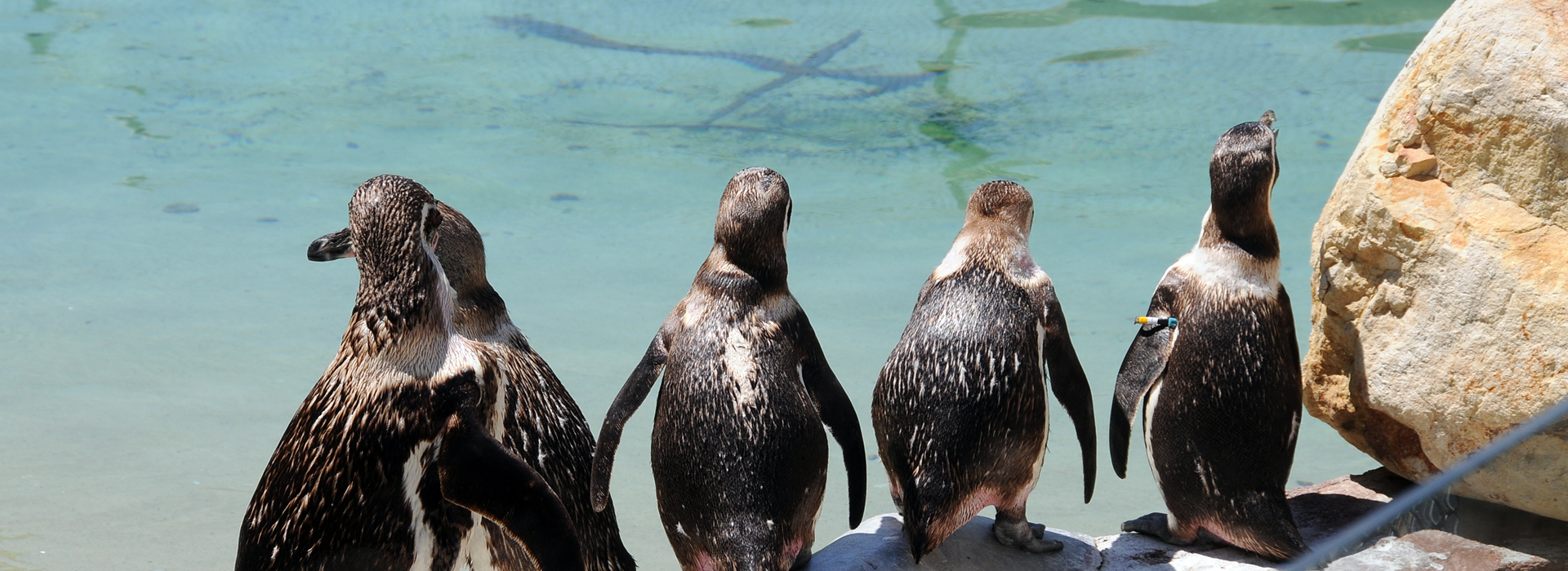 Zoo Santo Inácio