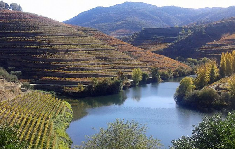 Off The Beaten Track Douro Valley Tour - Private Tour