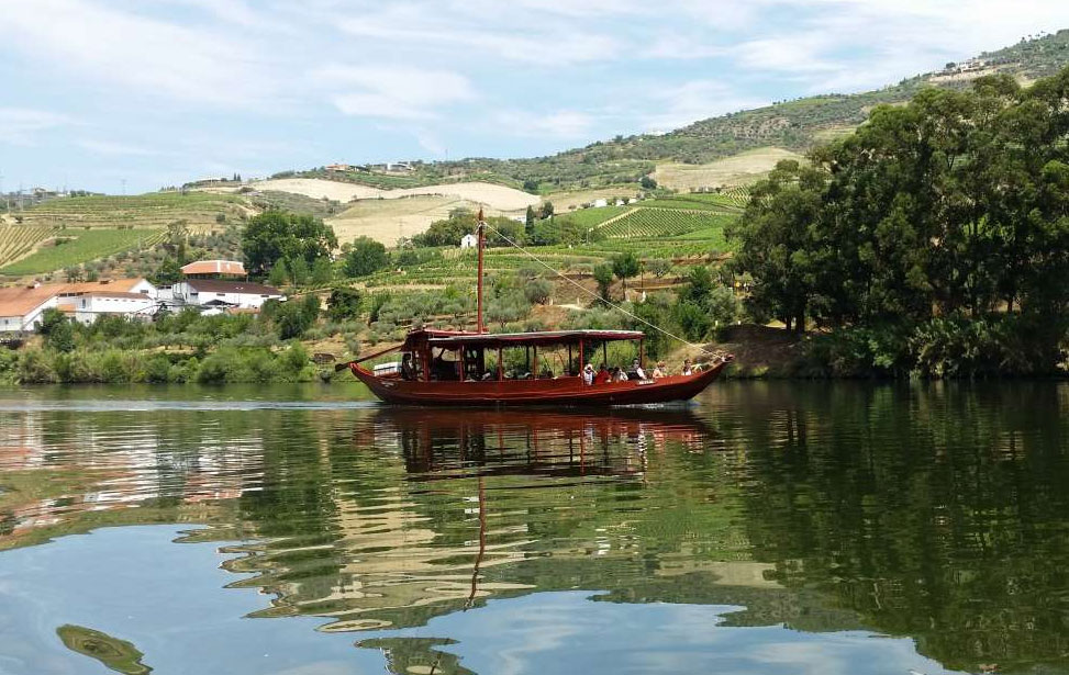 Douro Valley Tour - Wine Tasting, Lunch & River Cruise