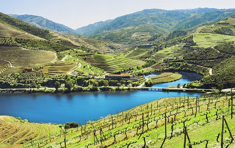 Authentic Douro Wine Tour Including Lunch and Optional River Cruise
