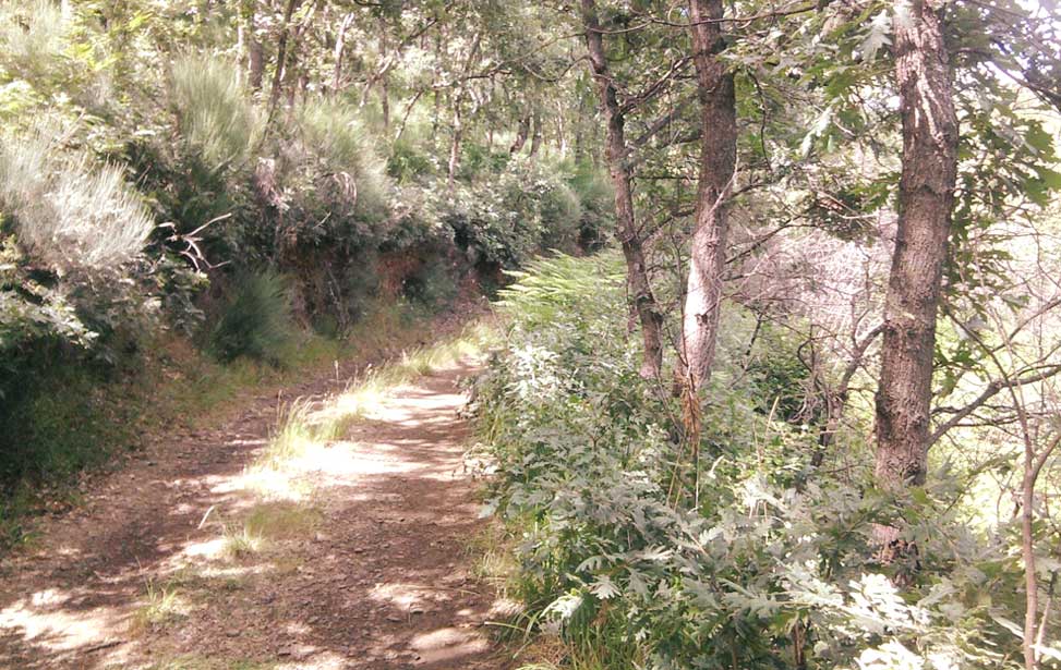 Hikking in Montesinho