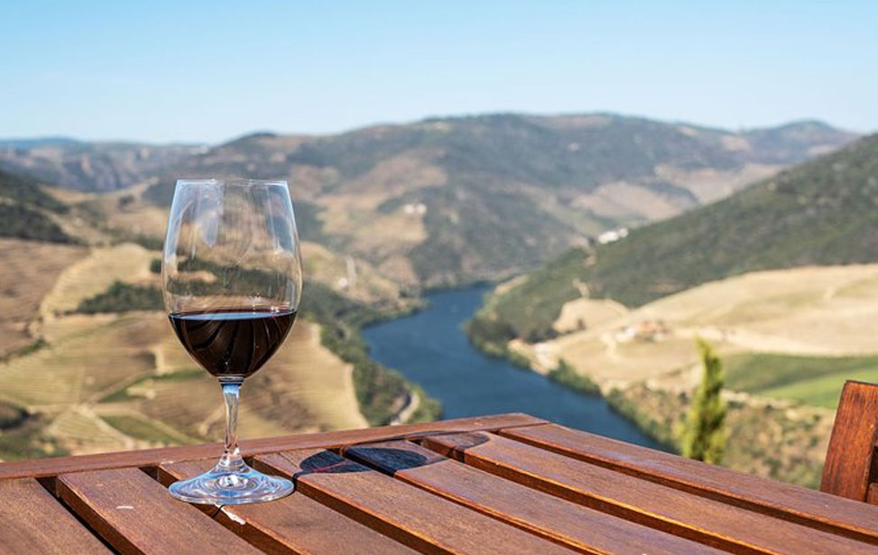 Douro Wine Tour