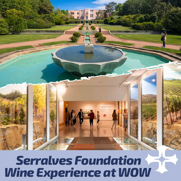 SSerralves Foundation + WOW experience