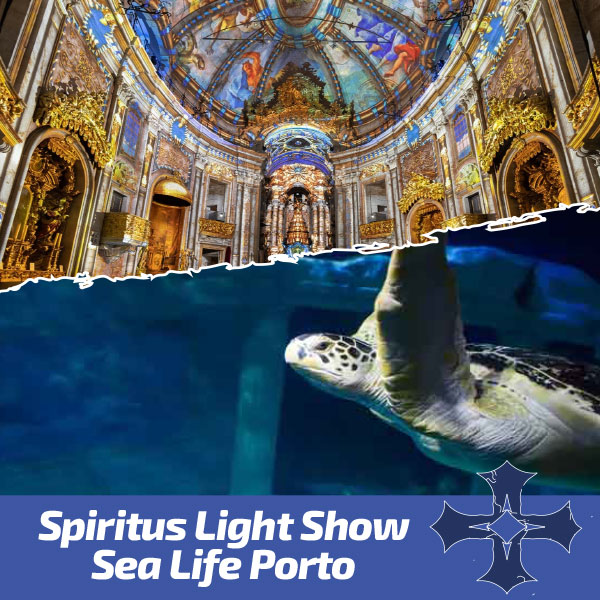 Spiritus Light Show + Sea Life Combi Ticket
