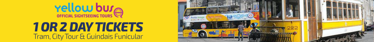 Yellow Bus Tour
