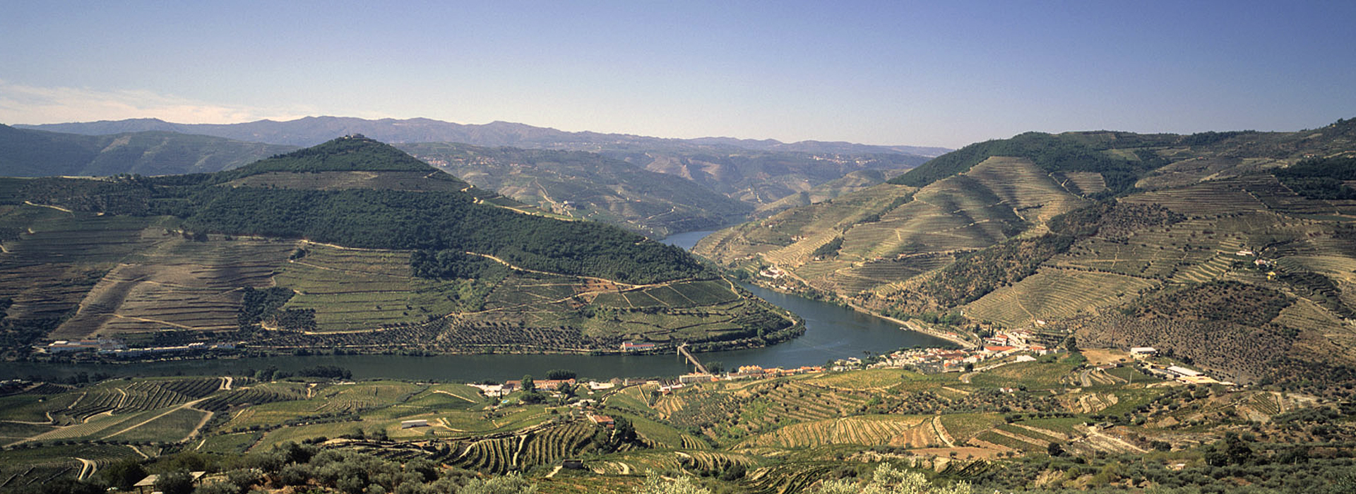 Douro DOC Wine