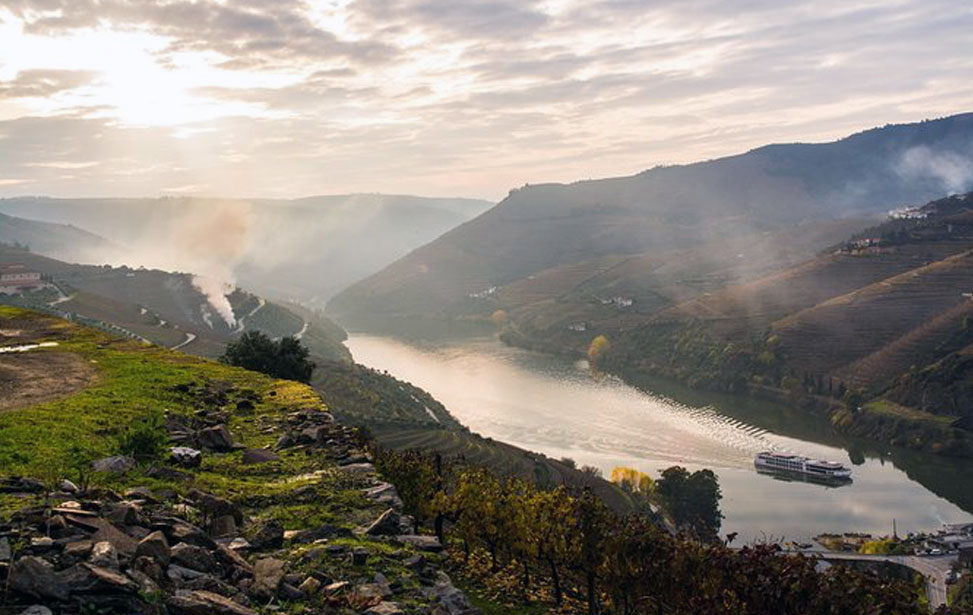 Douro Valley Small-Group Tour with Wine Tasting, Lunch and Optional Cruise