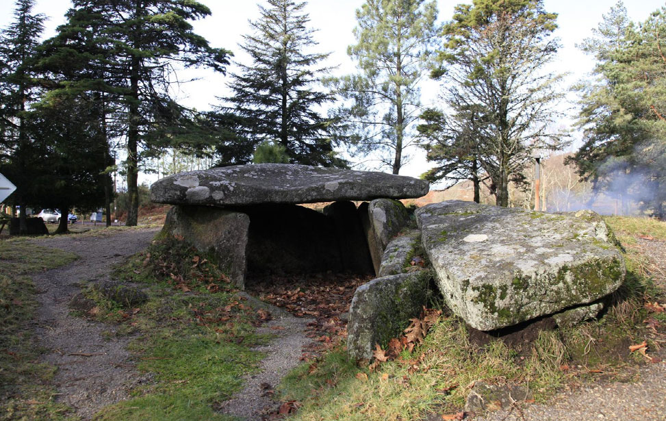 Mezio Gate - Nature Conservation