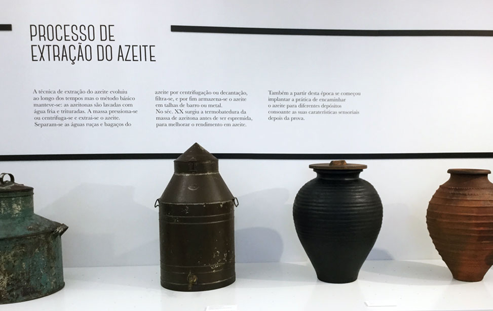 Museu da Oliveira e do Azeite