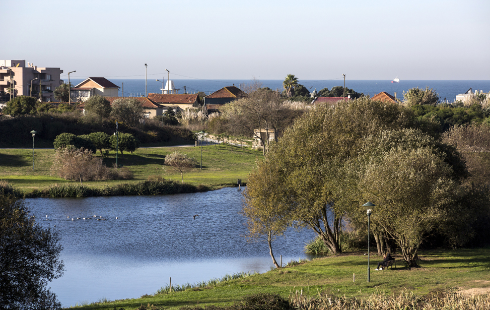 Parque da Cidade