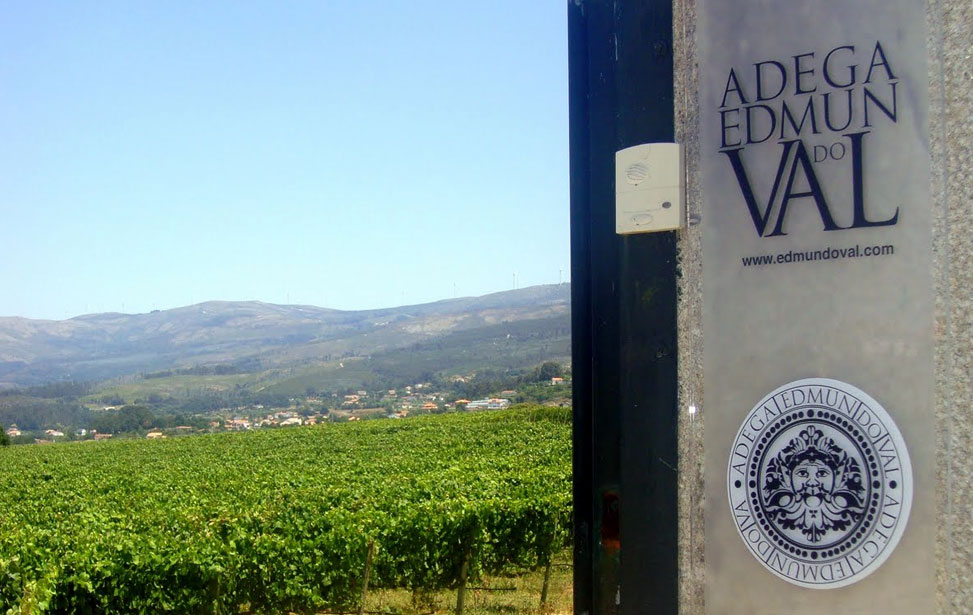 Quinta Edmun do Val Vineyard