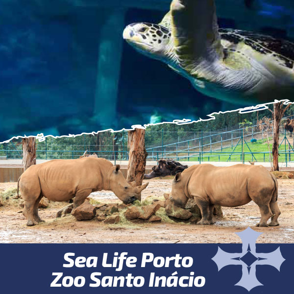 Z00 + Sealife Combi Ticket